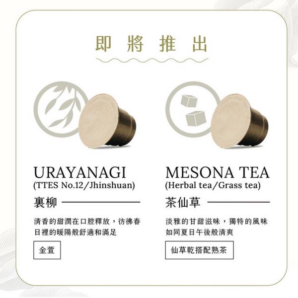 水屋厚茶 可分解的茶葉膠囊(適用Nespresso膠囊咖啡機) 體驗組8入(含兩顆隱藏版)