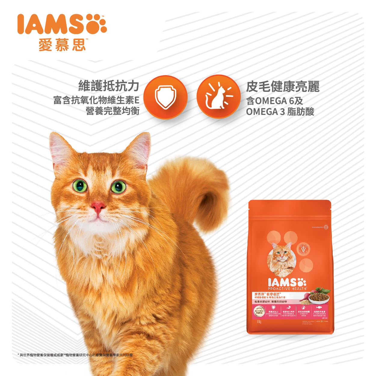 IAMS愛慕思 小型成犬營養配方-雞肉口味、成貓營養配方-鮪魚及鮭魚口味（二擇一）