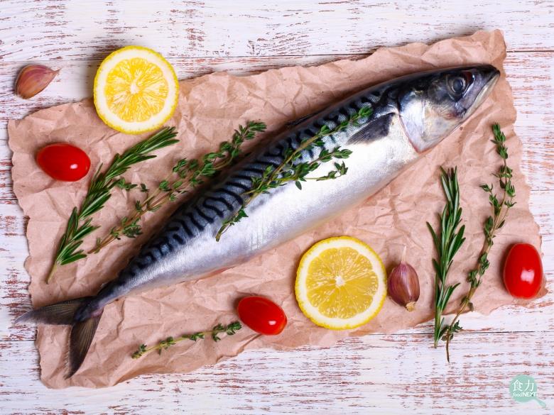 鯖魚是壽司狂熱分子熱愛的食材 食力foodnext 食事求實的知識頻道
