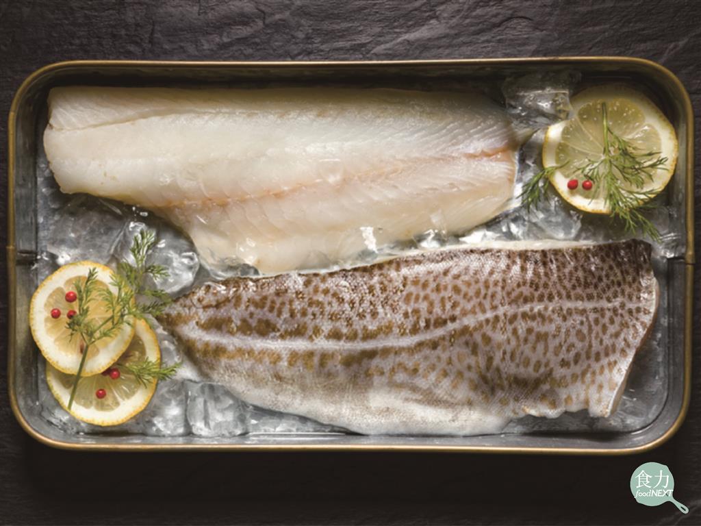 圓鱈 龍鱈 冰島鱈魚 扁鱈 竟然都不是真鱈魚 食力foodnext 食事求實的知識頻道