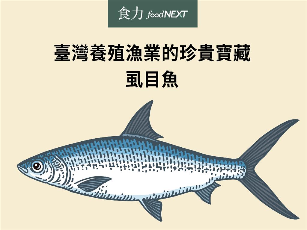 食聞 臺灣養殖漁業的珍貴寶藏 虱目魚 食力foodnext 食事求實的知識頻道
