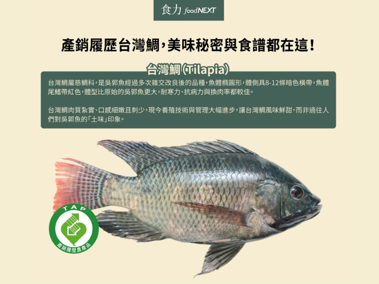 食聞 有產銷履歷的 台灣鯛 不只能追蹤追溯 品質更有保障 食力foodnext 食事求實的知識頻道